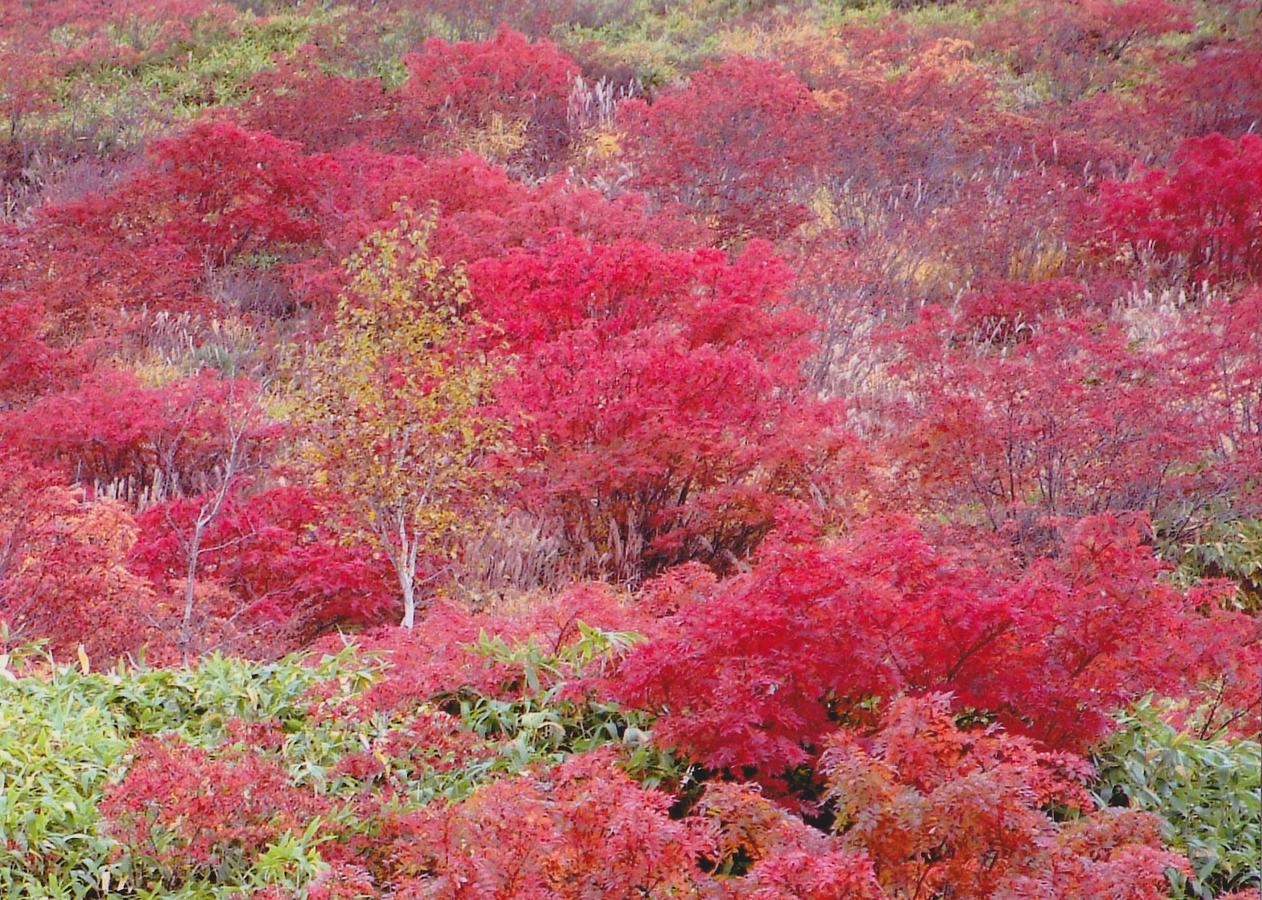 Shiga Kogen Hotel Shiga Sunvalley Yamanouchi  Extérieur photo