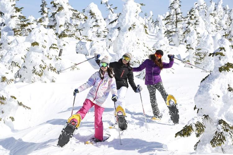 Shiga Kogen Hotel Shiga Sunvalley Yamanouchi  Extérieur photo